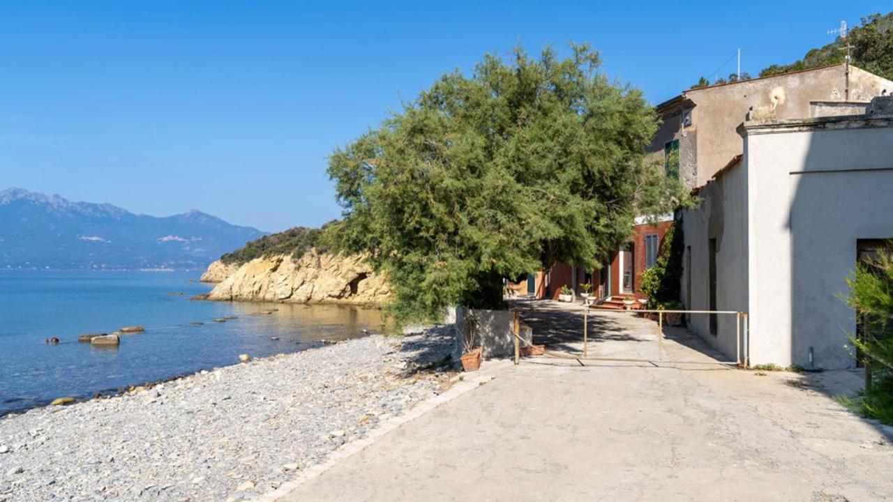 Casa La Nave Enfola - Argonautivacanze Portoferraio Eksteriør billede
